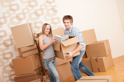 Packing and transport support for a house removal in Emersonpark