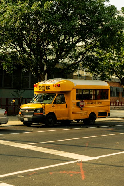 A yellow school bus parked on the street beneath a large leafy tree, with a black metal fence and the exterior of a building in the background. The bus is branded with 'SCHOOL BUS' on the front, and has a stop sign and school district information on its side. The surroundings include pavement markings and lane lines, with the bus positioned near a curb. This scene illustrates transportation logistics related to school relocations or student transfers, connected to house removals or moving services offered by Man with Van Emerson Park. The overall setting appears to be during daytime with natural lighting, emphasizing the vehicle's role in educational transport and the moving process.