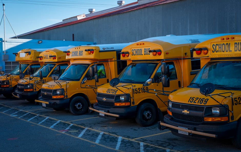 Five yellow school buses parked in a row on a paved lot adjacent to a large industrial building with a metal exterior wall and a red roof. The buses are positioned side by side, facing left, with some visible front and side windows, black side mirrors, and orange warning lights on top. The parking area is marked with white lines, and the scene is well-lit, suggesting daytime. This image is related to school transportation logistics, which can be relevant in the context of moving or logistic coordination services offered by Man with Van Emerson Park for school transfers or relocations involving school premises.