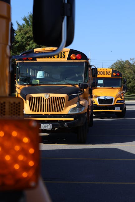 A yellow school bus parked on the street beneath a large leafy tree, with a black metal fence and the exterior of a building in the background. The bus is branded with 'SCHOOL BUS' on the front, and has a stop sign and school district information on its side. The surroundings include pavement markings and lane lines, with the bus positioned near a curb. This scene illustrates transportation logistics related to school relocations or student transfers, connected to house removals or moving services offered by Man with Van Emerson Park. The overall setting appears to be during daytime with natural lighting, emphasizing the vehicle's role in educational transport and the moving process.