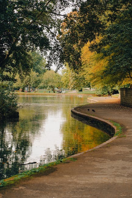 A peaceful scene of a paved pathway running alongside a calm river or canal within a park setting. The pathway curves gently along the water's edge, bordered by a low brick wall on one side and lush, green trees with dense foliage overhead. Some trees display hints of yellow and orange leaves, indicating early autumn. The river reflects the surrounding trees and the sky, creating a mirrored effect on the water surface. In the distance, there are a few small boats on the water and park benches along the opposite bank, suggesting a leisurely environment. The natural lighting is soft, with dappled sunlight filtering through the tree branches, illuminating the tranquil scene. This outdoor setting is ideal for a relaxing walk or outdoor activities, typical of parks in Emerson Park, and is relevant to house removals and relocation contexts by illustrating an inviting atmosphere for potential move-in or outdoor space preparation by firms like Man with Van Emerson Park.